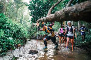 BIB: 
                            <button type="button" onclick="openModal(25370439)" class="btn btn-primary btn-sm float-right btn-popup" data-toggle="modal" data-target=".modal-high-quality">
                        <i class="fas fa-shopping-cart"></i> Add to Cart
                    </button>
                                            <button type="button" onclick="isThisMe(25370439, true)" class="btn btn-success btn-sm float-right btn-popup btn-isme hidden" data-toggle="tooltip" data-placement="bottom" title="นี่คือรูปของคุณใช่ไหม คลิกที่นี่เพื่อเอาเข้าอัลบั้ม">
                        <i class="fas fa-plus"></i> Add to album
                    </button>
                    <button type="button" onclick="isThisMe(25370439, false)" class="btn btn-warning btn-sm float-right btn-popup btn-isnotme hidden">
                        <i class="fas fa-ban"></i> Remove from album
                    </button>